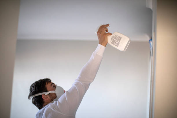 Best Mold Remediation  in Town And Country, WA