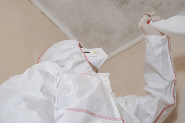 Water Damage Restoration in Town And Country, WA