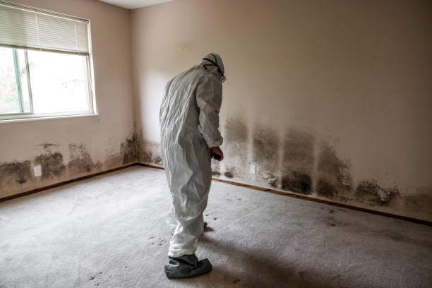 Best Crawl Space Mold Removal  in Town And Country, WA